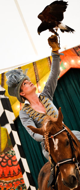 Giffords Circus: War and Peace